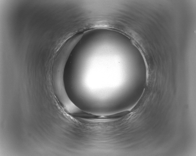 X0000069400385200605121221