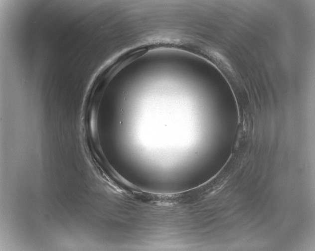 X0000069400388200605121221