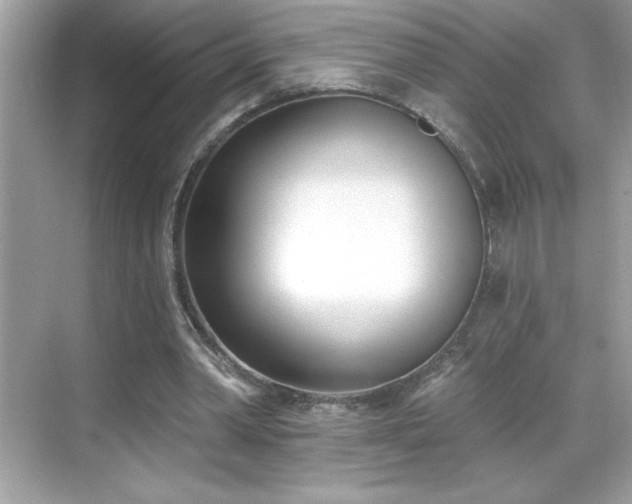 X0000069400390200605121221
