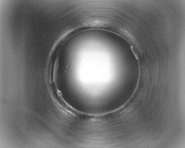 X0000069400392200605121221