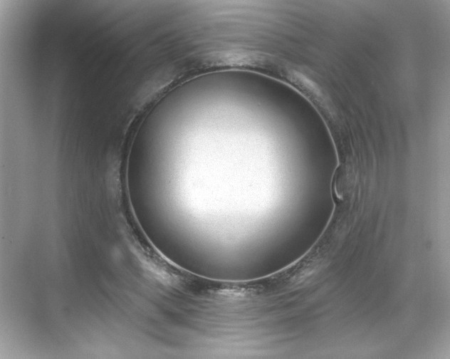 X0000069400394200605121221