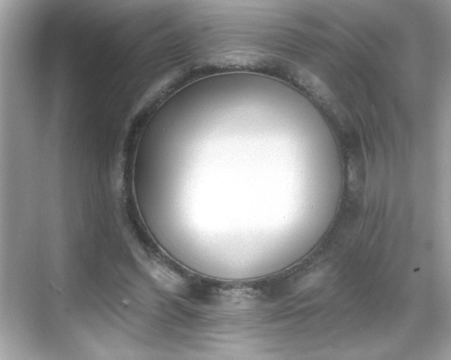 X0000069400396200605121221