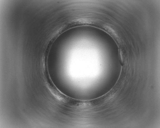 X0000069400398200605121221