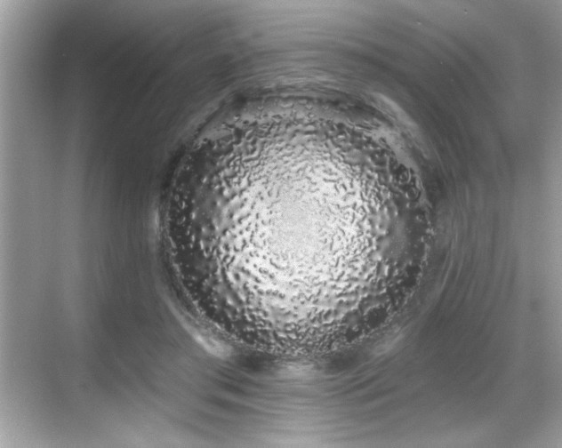 X0000069400405200605121220