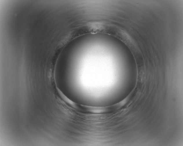 X0000069400417200605121220