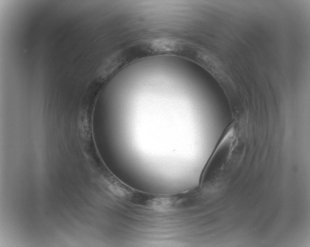 X0000069400418200605121220