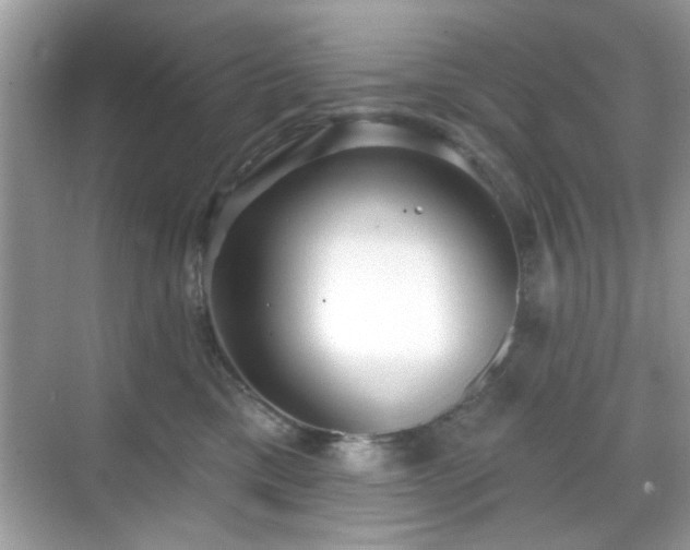 X0000069400425200605121220