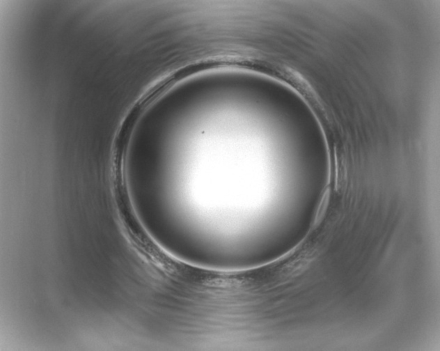 X0000069400435200605121219