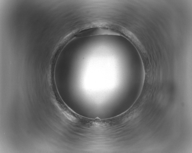 X0000069400442200605121219