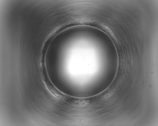 X0000069400443200605121219