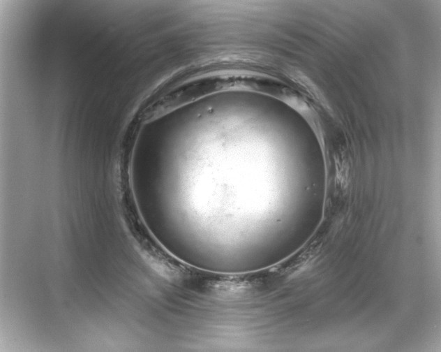 X0000069400444200605121219