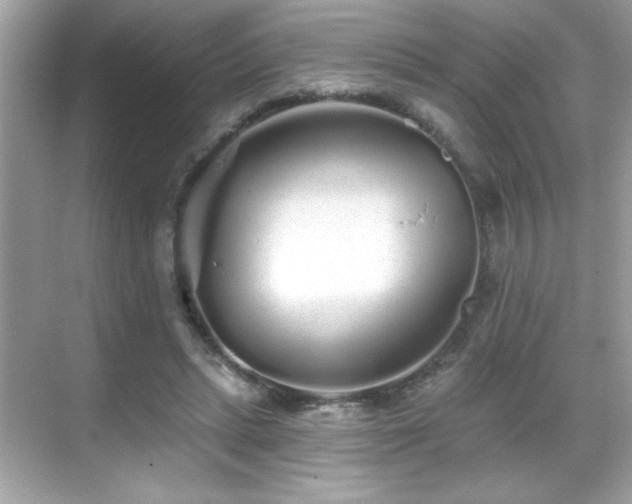 X0000069400447200605121219