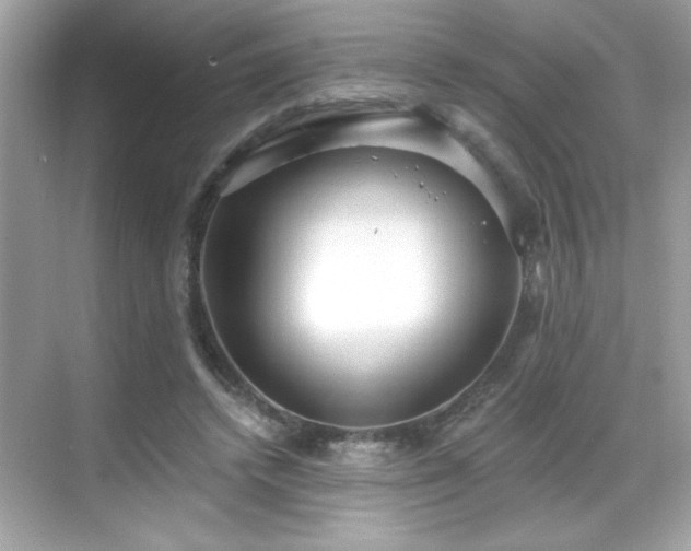 X0000069400448200605121219