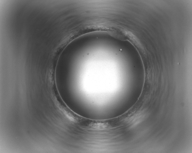X0000069400449200605121219