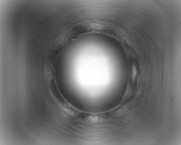 X0000069400464200605121220