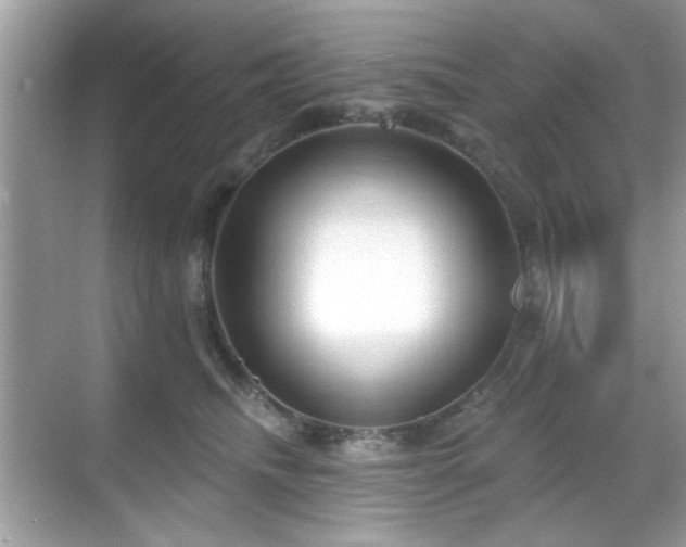 X0000069400468200605121220