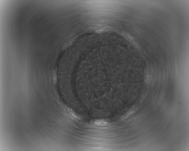 X0000069400471200605121220
