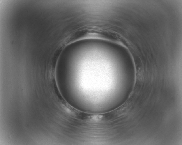 X0000069400474200605121220