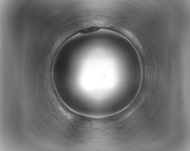 X0000069400481200605121219