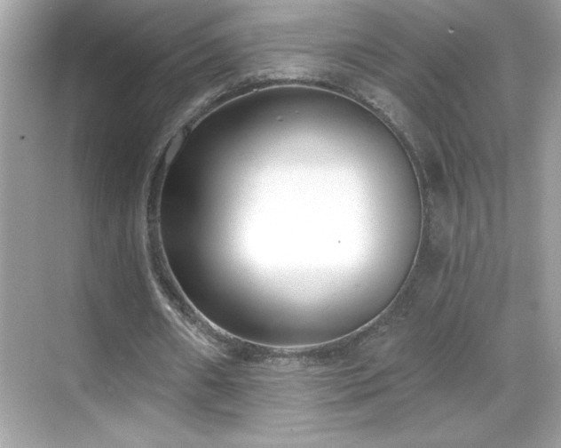 X0000069400482200605121219
