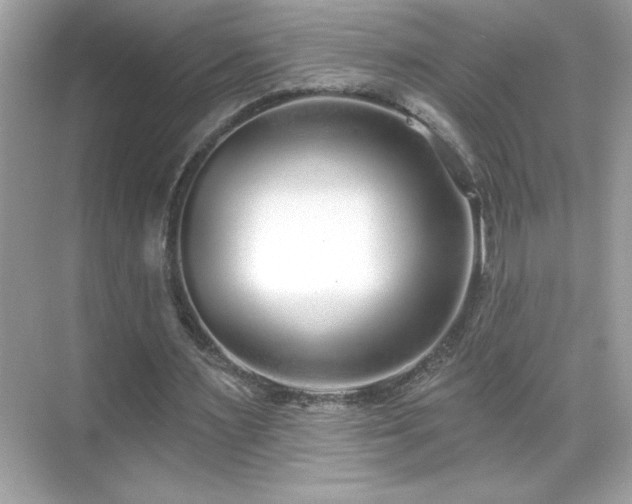 X0000069400483200605121219