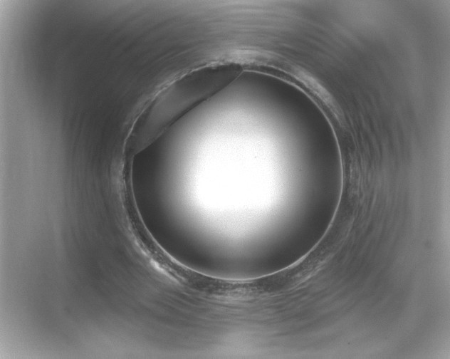 X0000069400485200605121219