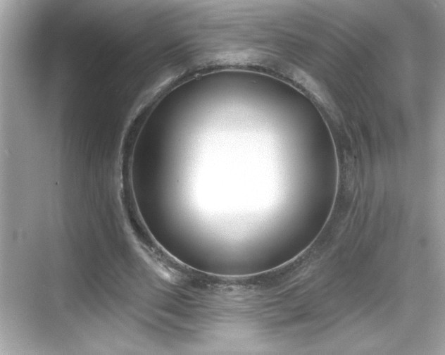 X0000069400486200605121219