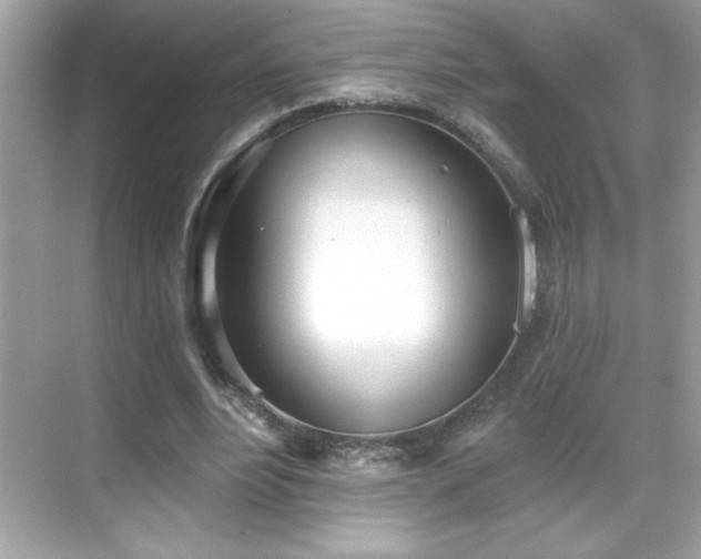 X0000069400488200605121219