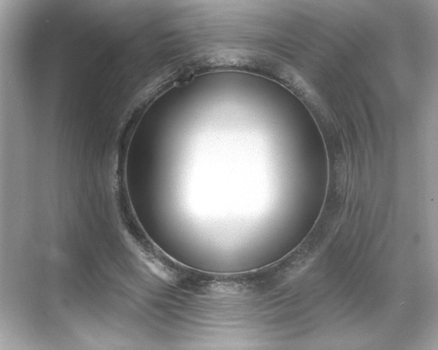 X0000069400490200605121219