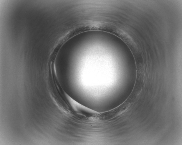 X0000069400496200605121219