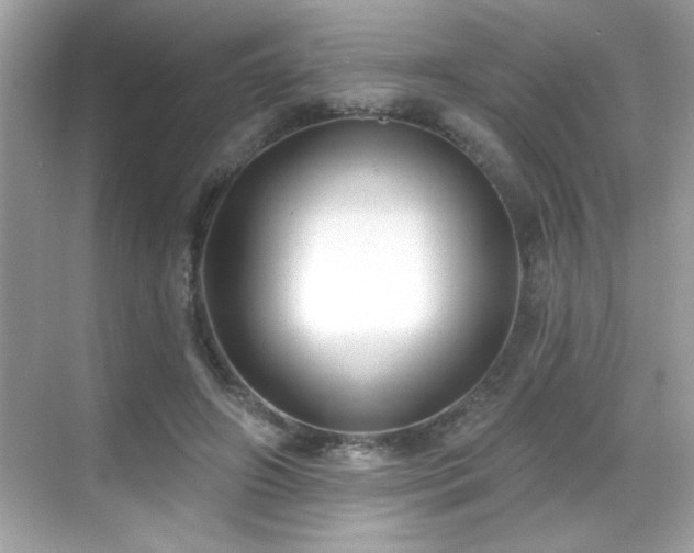 X0000069400498200605121219