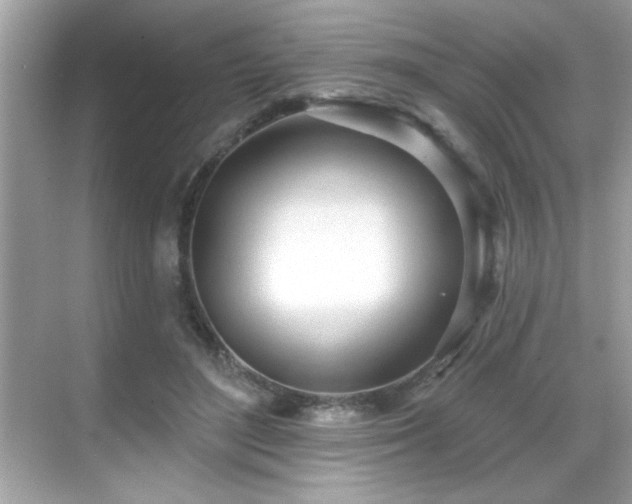 X0000069400500200605121219