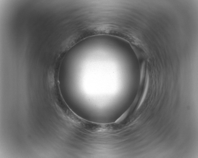 X0000069400504200605121219