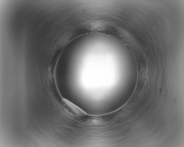 X0000069400506200605121219