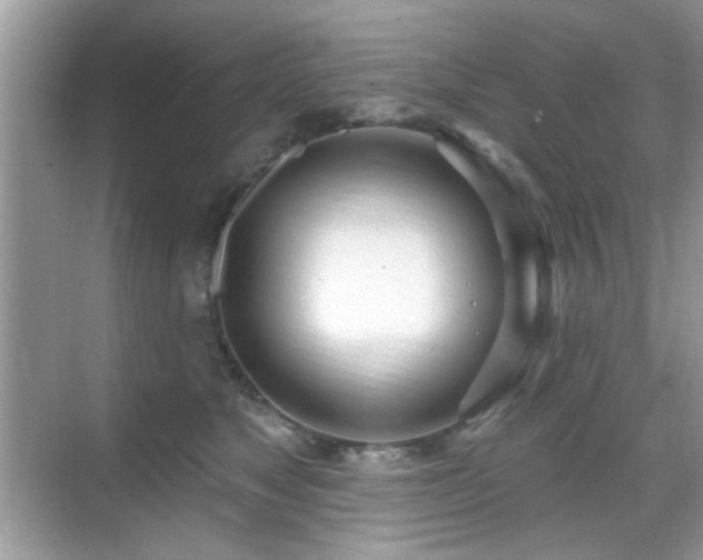 X0000069400517200605121219