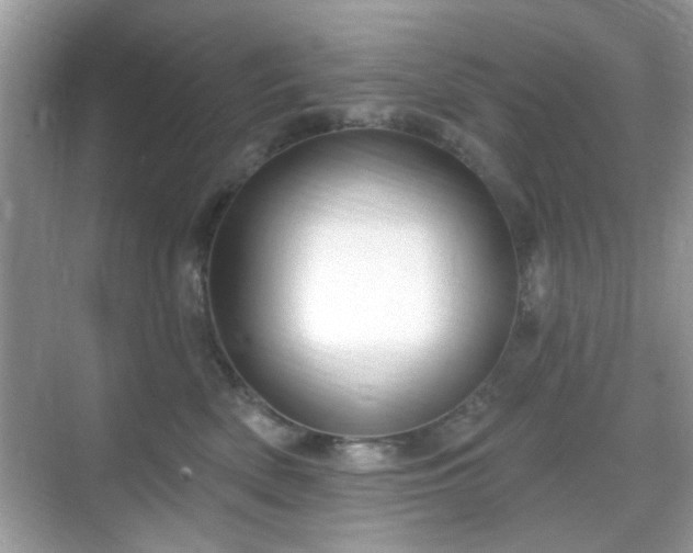 X0000069400522200605121218