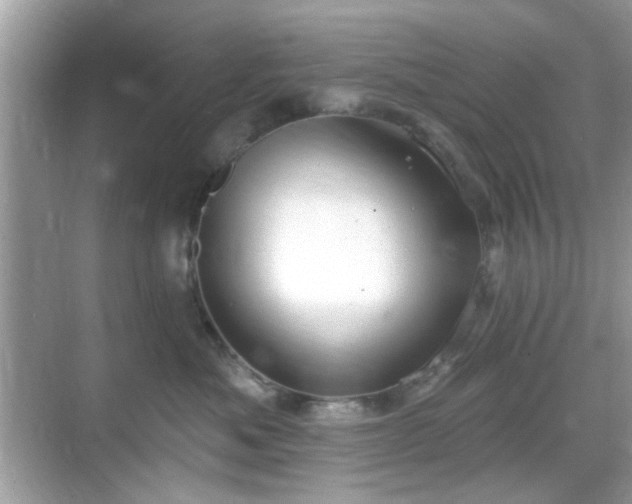 X0000069400525200605121218