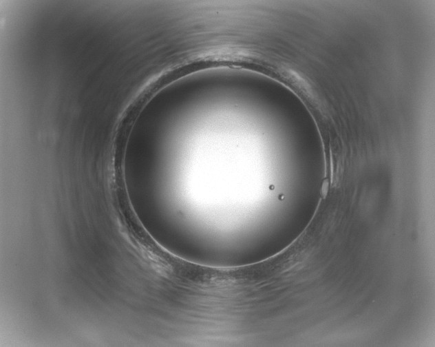 X0000069400531200605121218