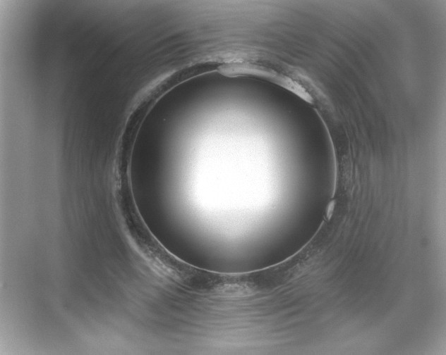 X0000069400536200605121218