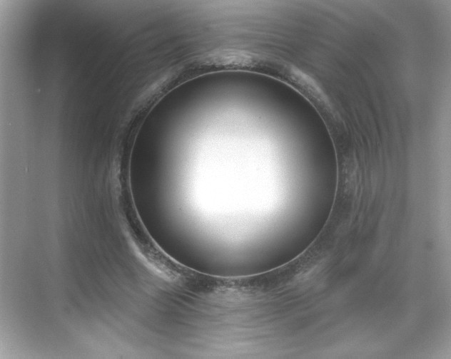 X0000069400538200605121218