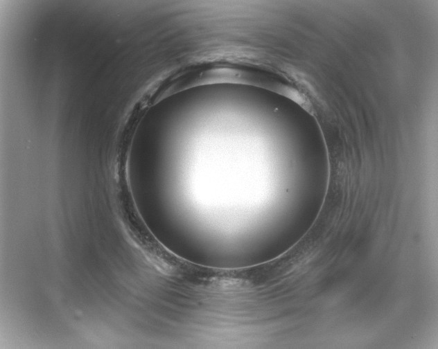 X0000069400539200605121218