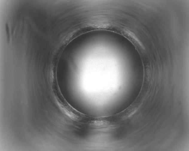 X0000069400541200605121218