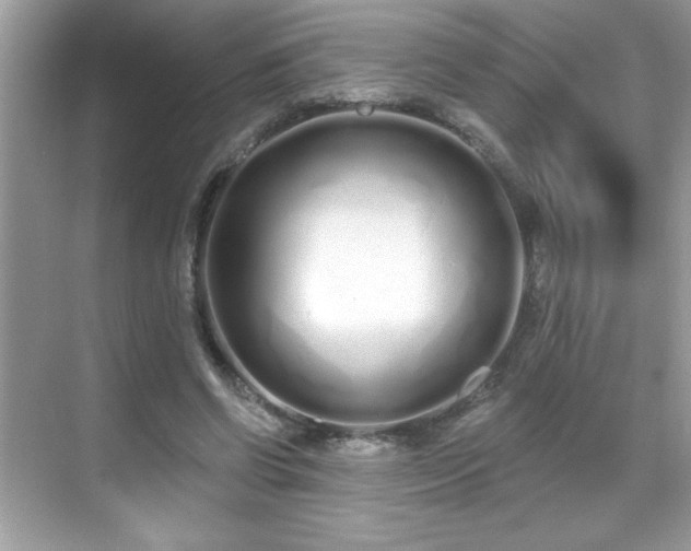 X0000069400542200605121218