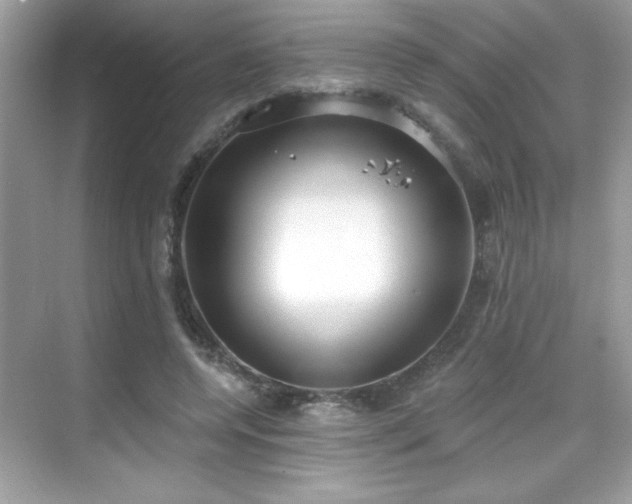 X0000069400544200605121218