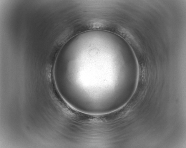 X0000069400545200605121218