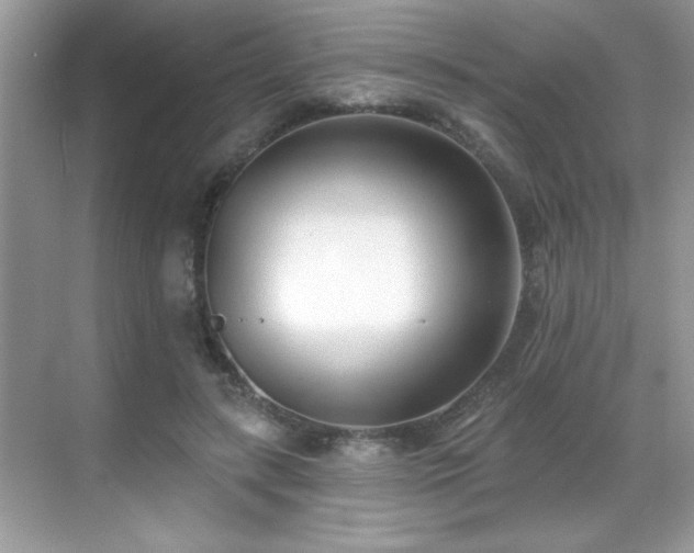 X0000069400547200605121218