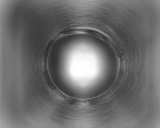X0000069400552200605121218