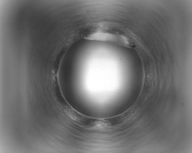 X0000069400555200605121218