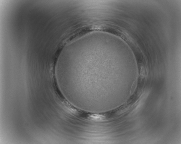 X0000069400557200605121218