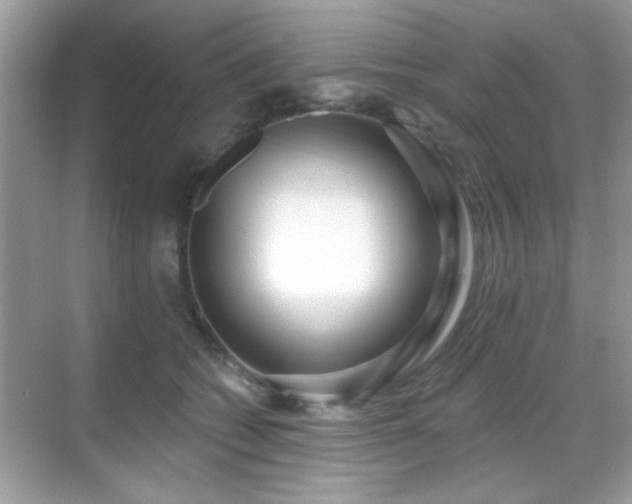 X0000069400562200605121218